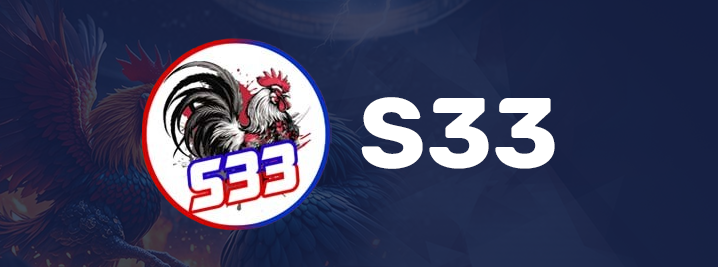 s33